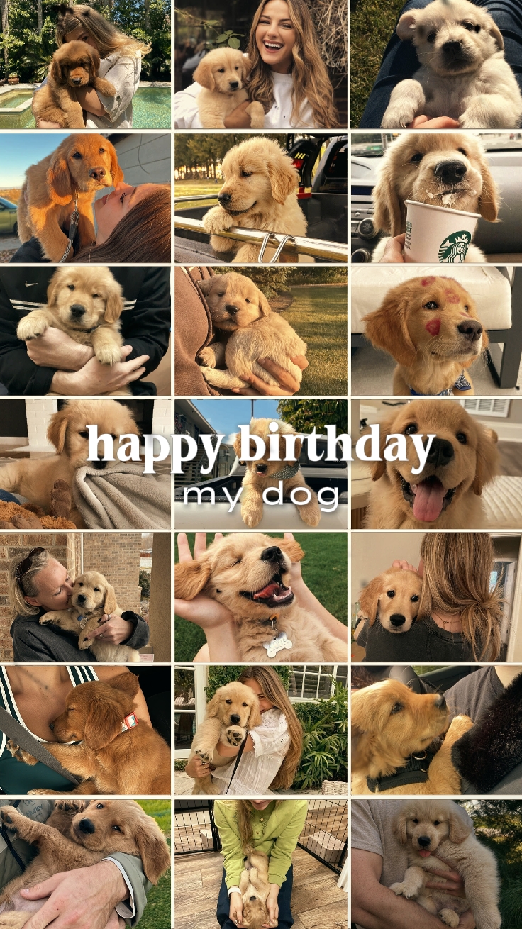 Aniversário meu cachorro