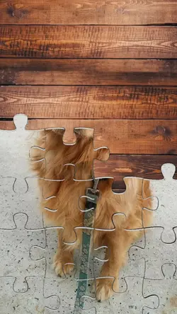 puzzle pic trend