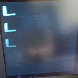 L I C K Y 