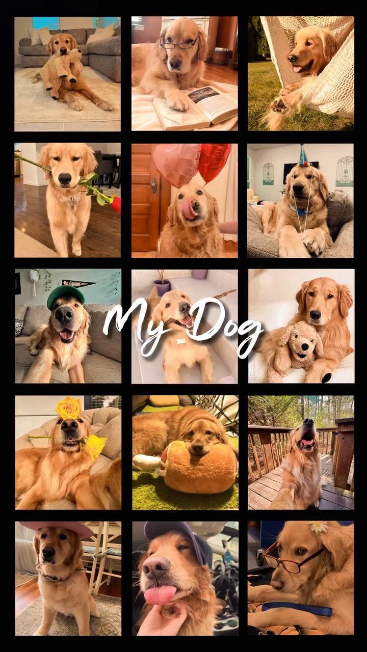 I Love My Dog 