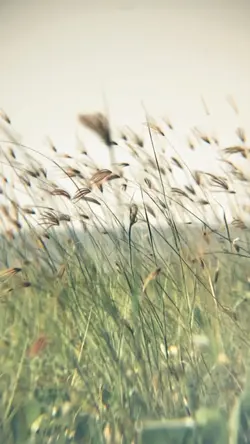 Slowmo filter hd