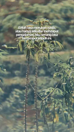bahan sw