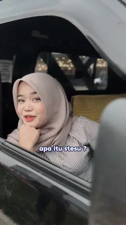 setelan supir