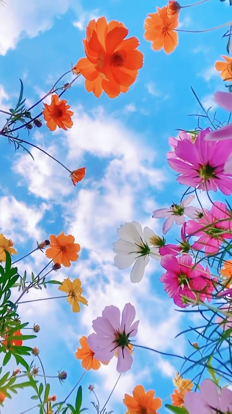 hello spring