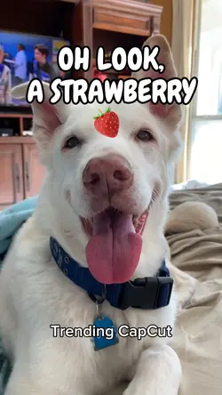 Oh look a strawberry
