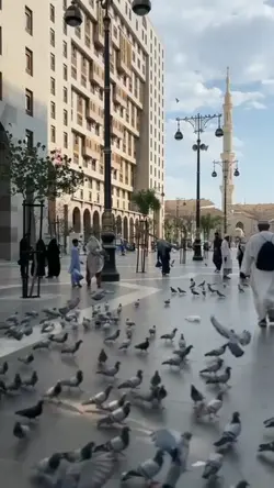 Madinah