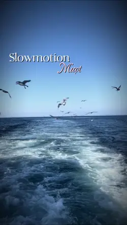 Slow mượt 