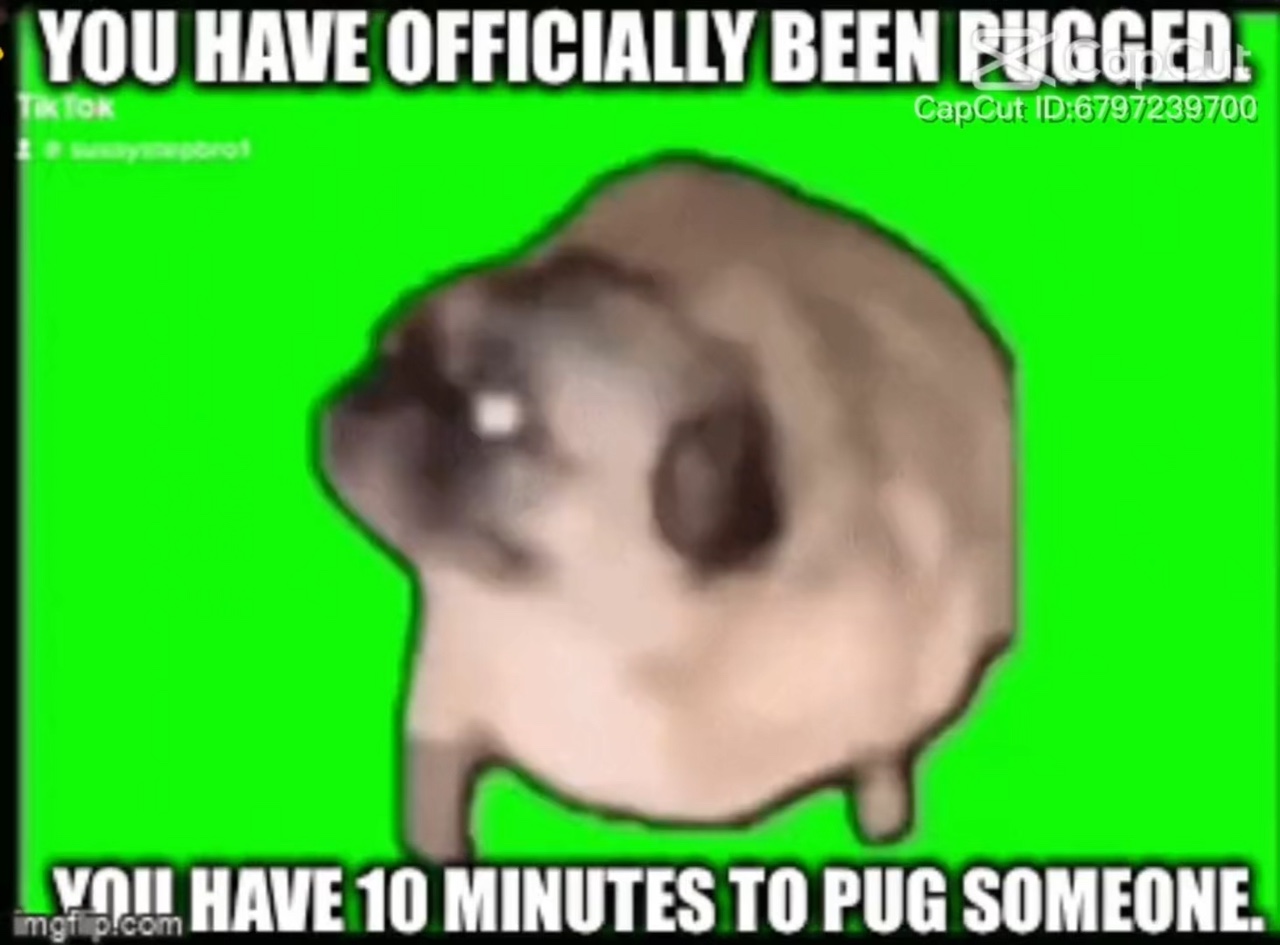 YOU HAVE BEEN PUGGED
