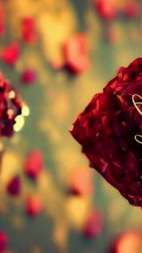 Happy Valentines