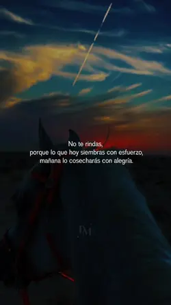 No te rindas