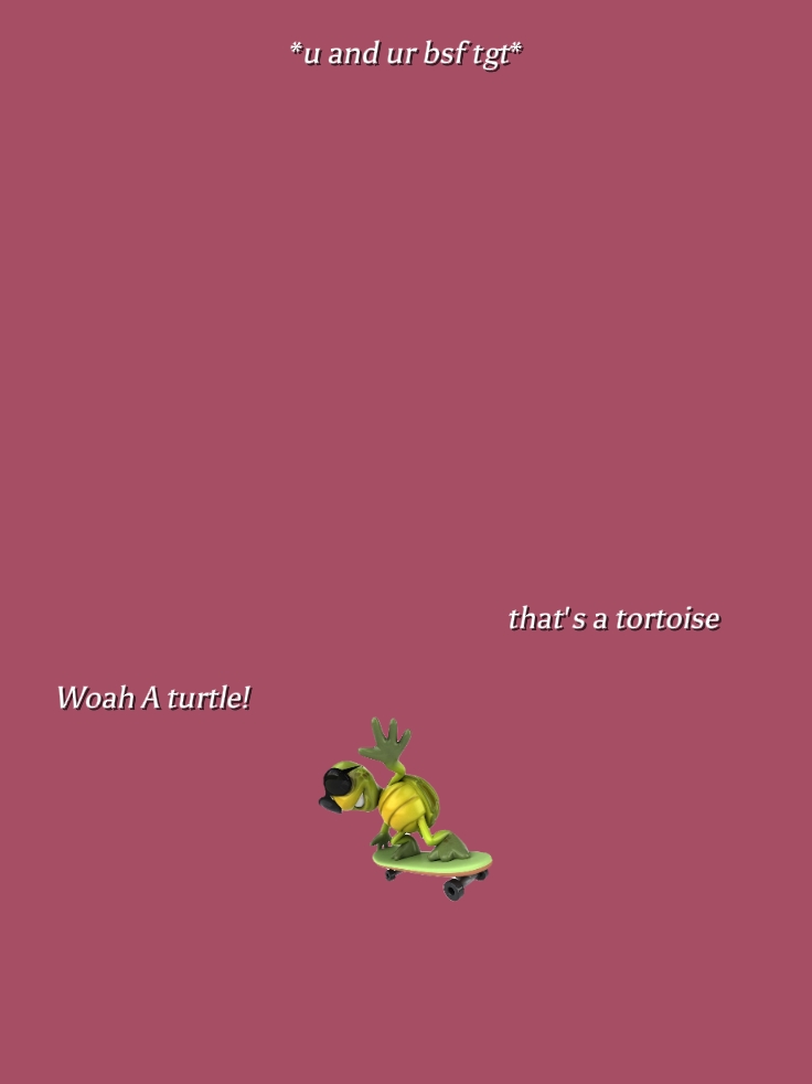 A TURTLE WOAH