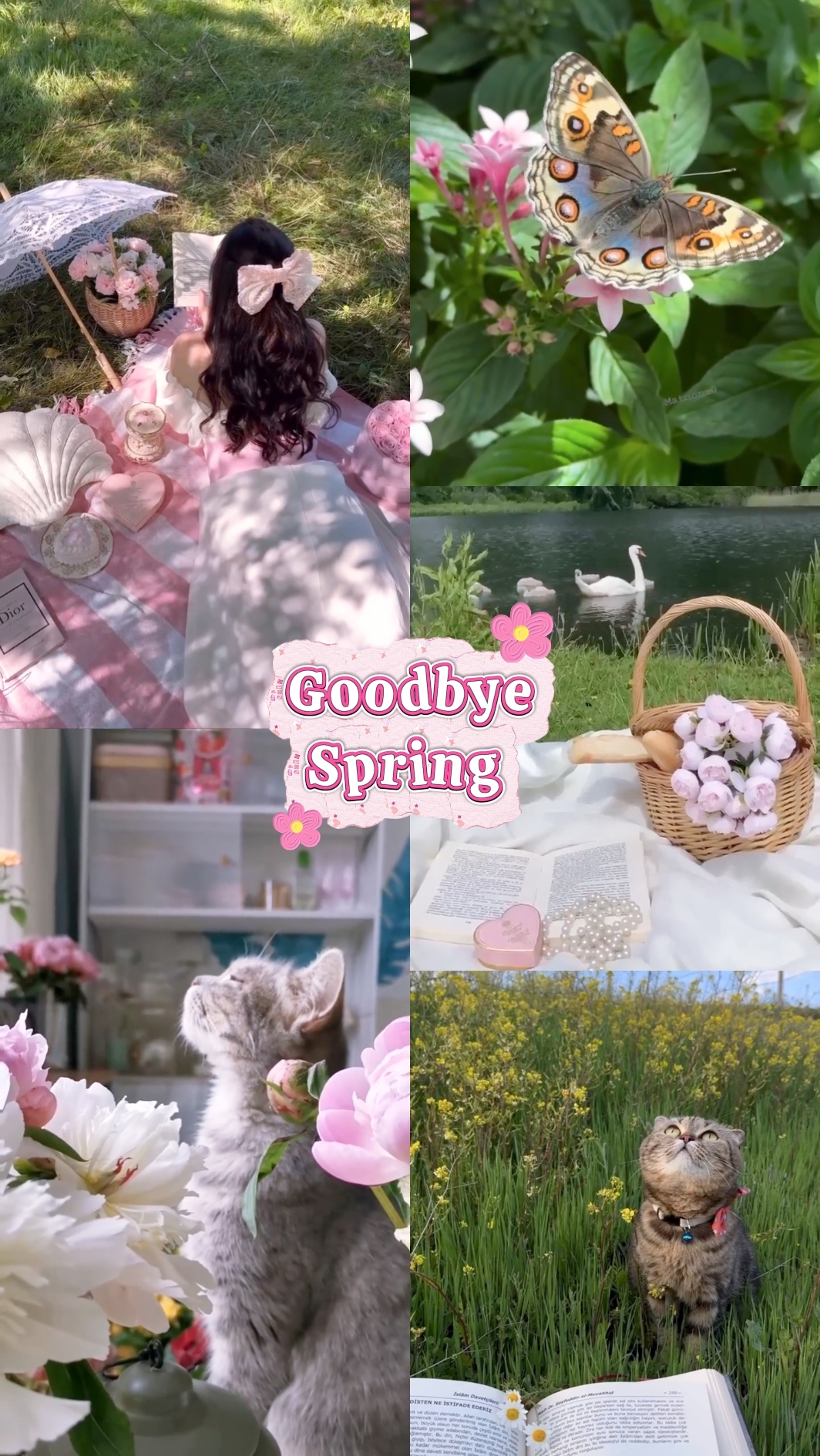 Goodbye spring 