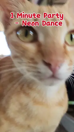 Party – Neon Dance