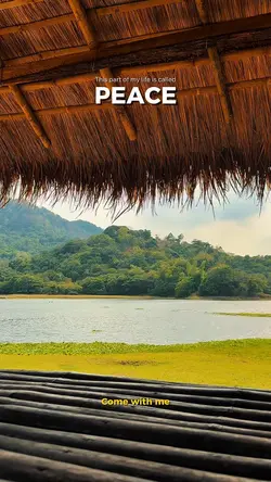 Peace 🍃