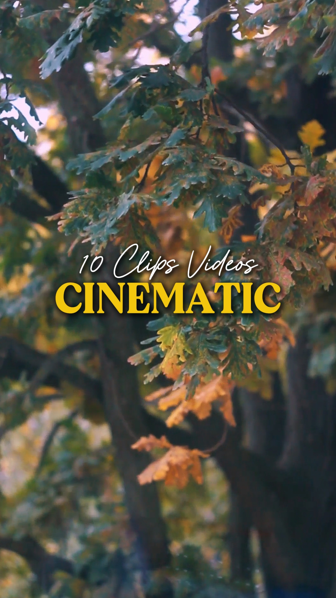 Cinematic 10 Videos