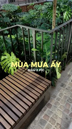 Vì Tình Cờ Mưa Đến