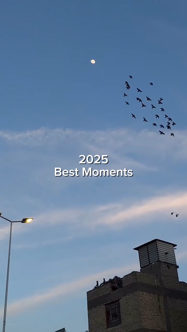 2025 최고의 순간