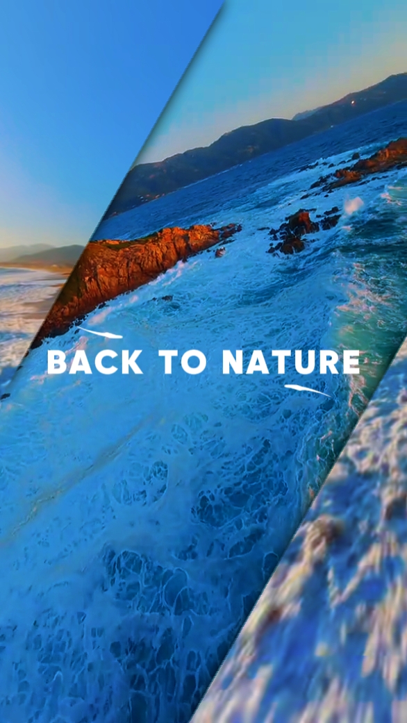 Vibrações Da Natureza