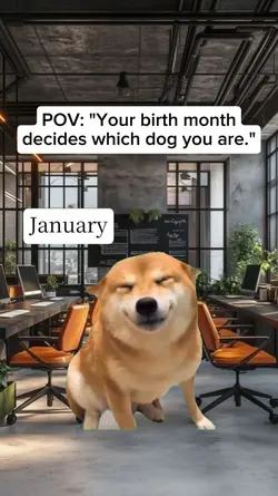 your birth month dec