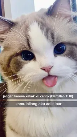 trend katakata