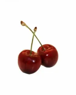   ꪱׁׁׁׅׅׅ 𝐋ᨵׁׁׅׅׅ᥎e