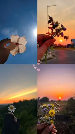 flowers
