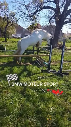 bmw moteur sport 