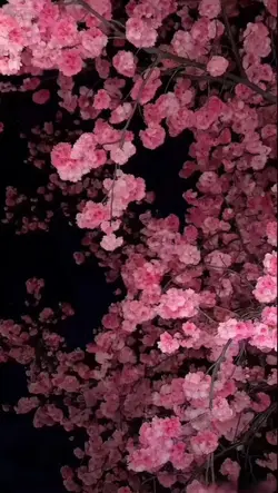 3D  wallpaper