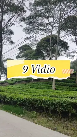 9 Vidio