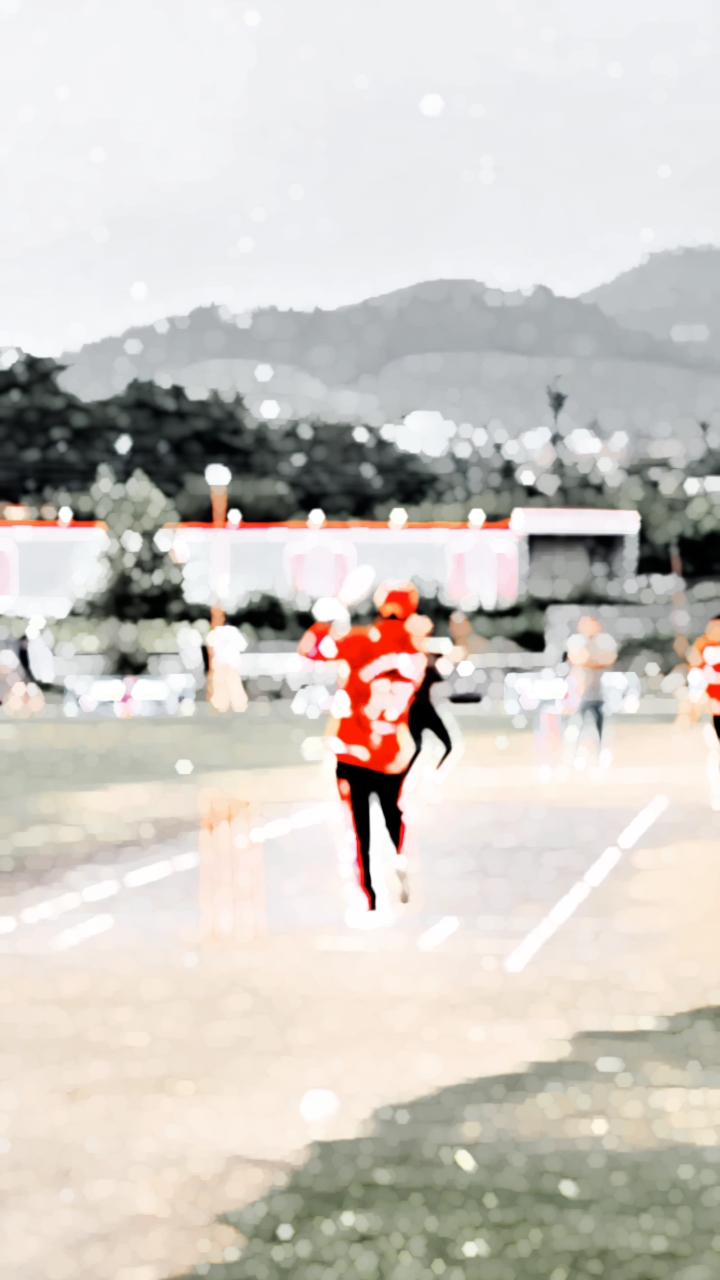 Cricket Video Task 