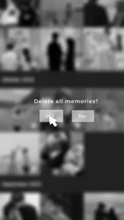 delete all memoris 