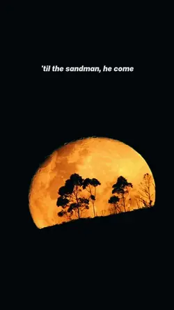 Enter The Sandman