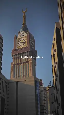 Qalbi fil medina