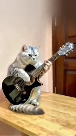 Cat Guitar