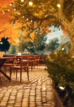 #Mẫu tâm trạng 🍂🍂🍂