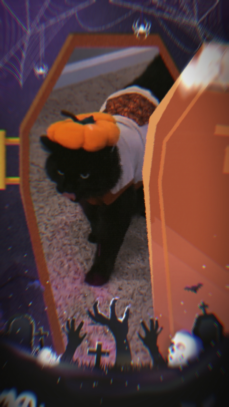 Halloween Pet Spooky