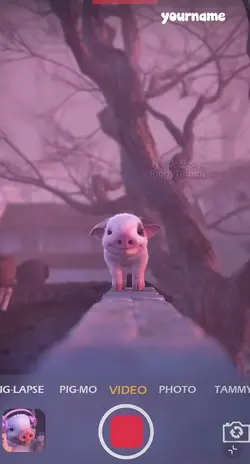 pig