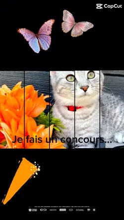 Concours !!!!
