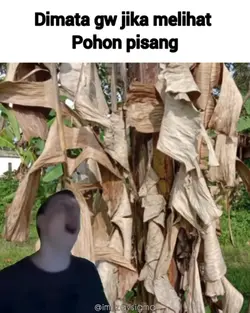 pohon itu mencurigak
