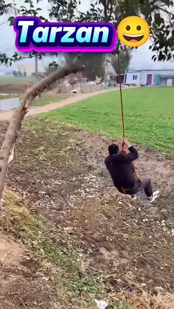 tarzan