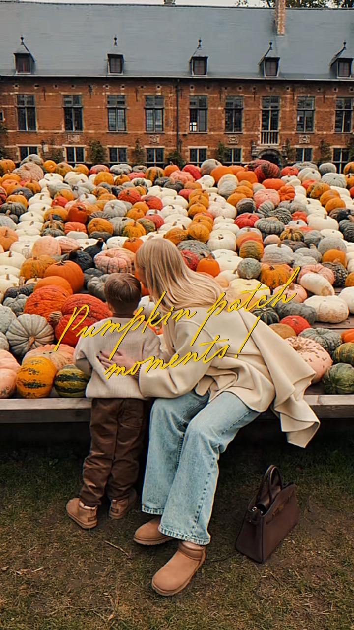 pumpkin patch 🎃🧺