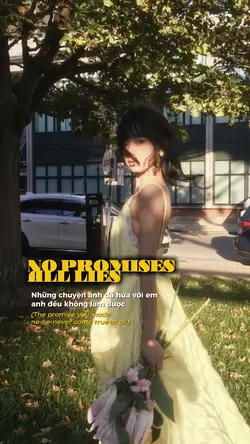 NO PROMISES ALL LIES