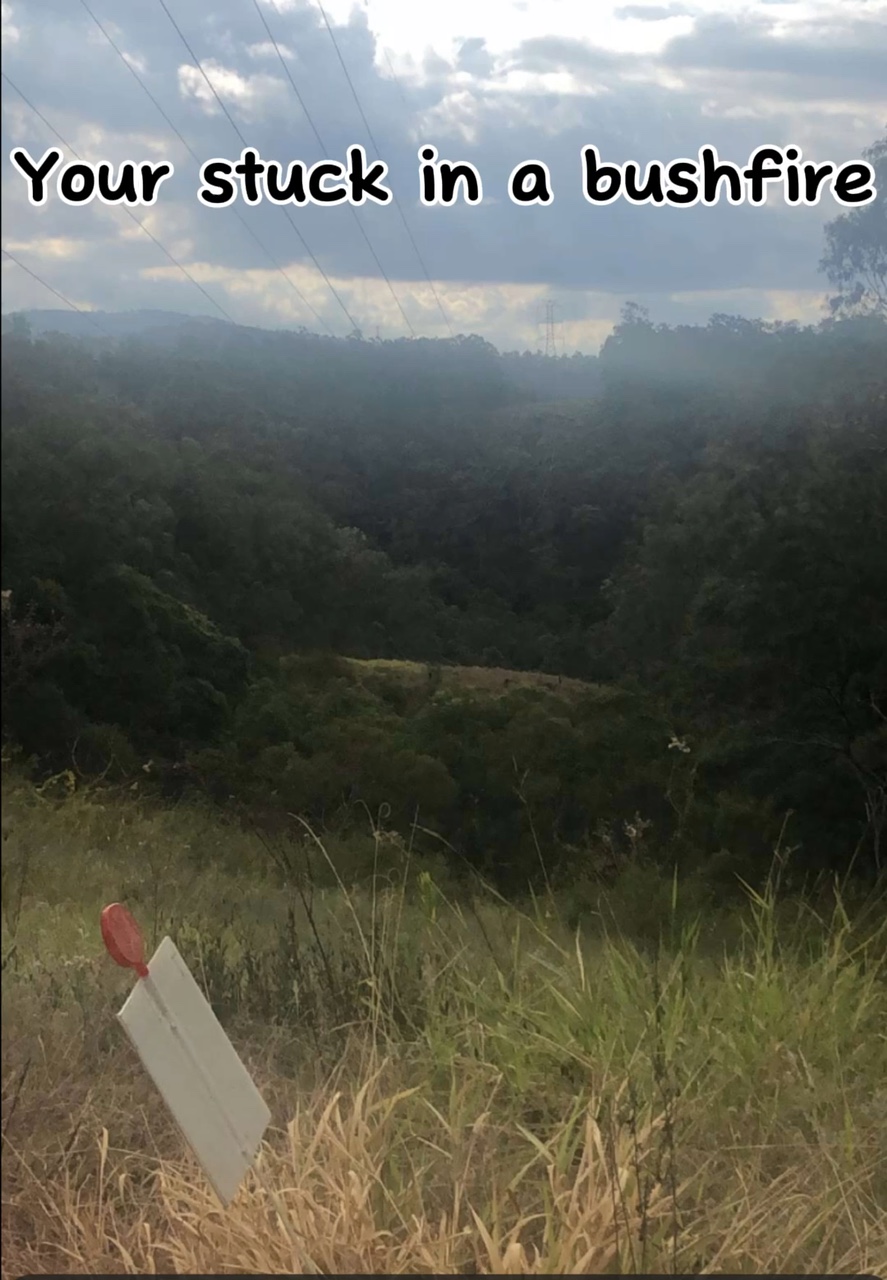 Your stuck in a fire