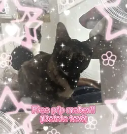 Free pfp maker!!