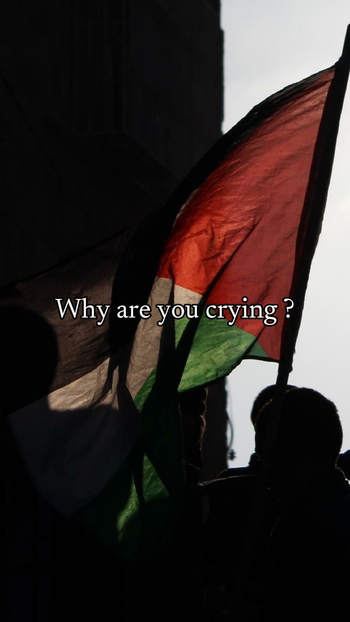 Why are you crying ?