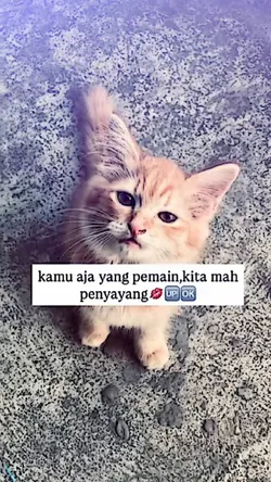 KAMU AJA YANG PEMAIN