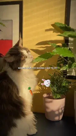 Trúng Mánh Rồiiii