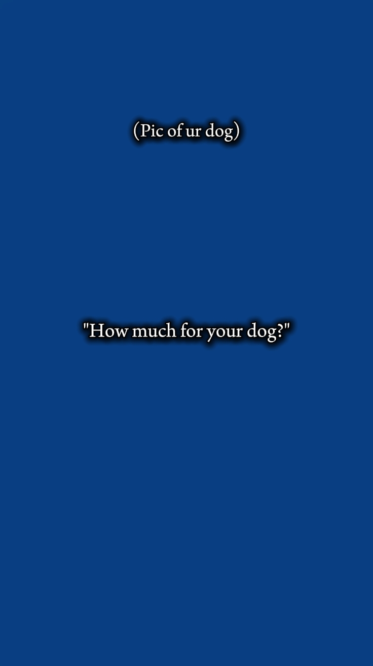 köpek
