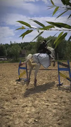 zelenuyu slowmo