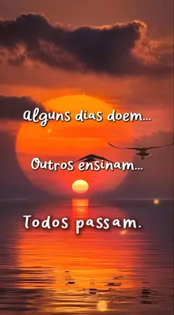 todos os dias 